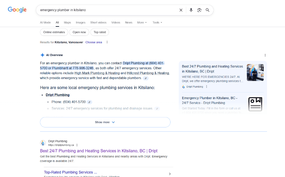 Local SEO Strategy, SEO Expert in Vancouver